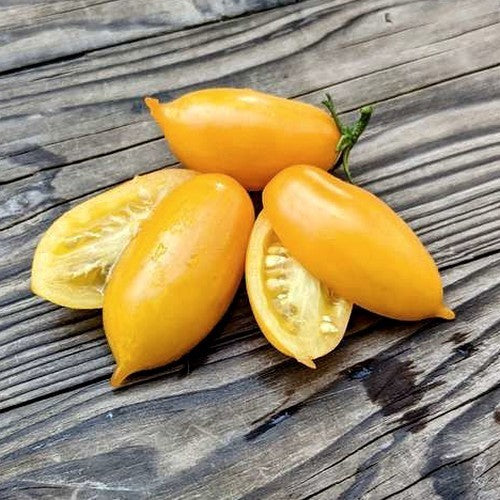 Cherry Tomato 'Guinell Yellow'