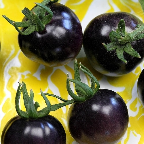 Cherry tomato 'Helsing Junction Blue'