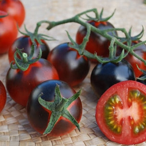 Cherry tomato 'Helsing Junction Blue'