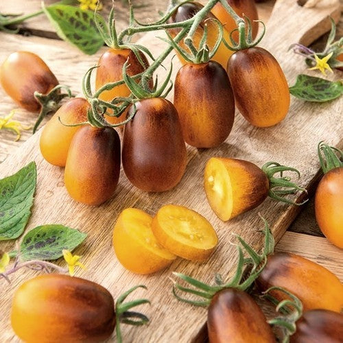 Kerstomaat 'Indigo Pear Drops'
