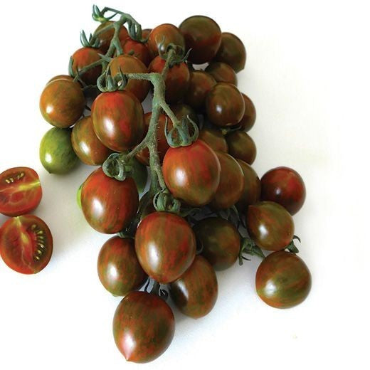 Cherry tomato 'Morettino' F1