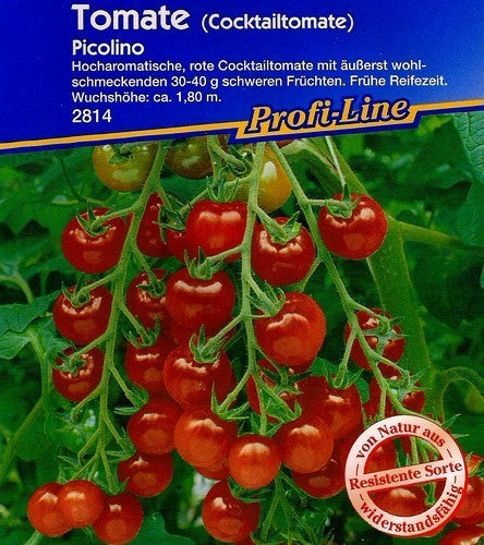 Kerstomaat 'Picolino' F1