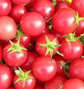 Wild Cherry Tomato 'Pink Bouncy'