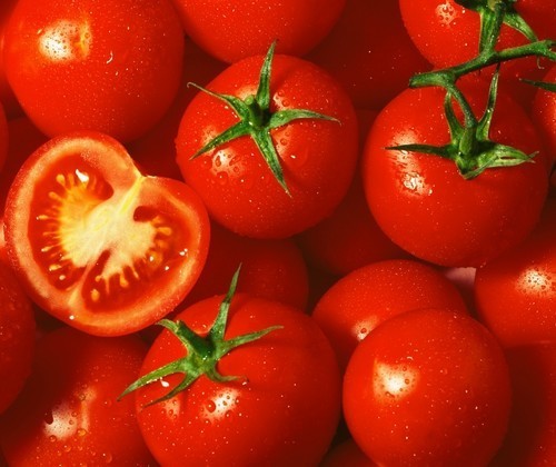Pingpongtomaat 'Ribesoides' / 'Ribesiodes'