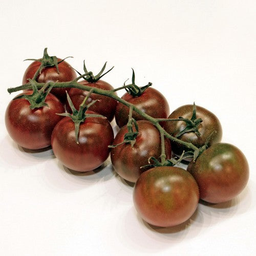Cherry tomato 'Sunchocola' F1