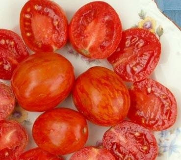 Olijftomaatje 'Tigerette'