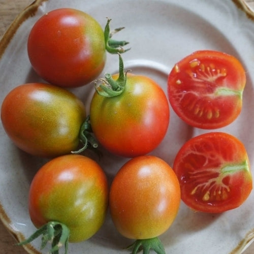 Olive tomato 'Yagodka' / 'Jagodka'