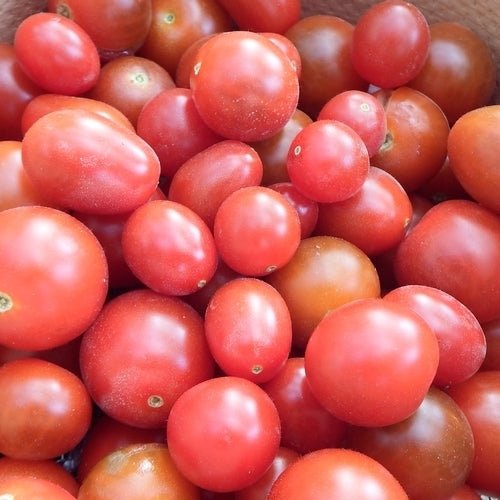 Kers- en Grapetomaatjes 'You Jane'