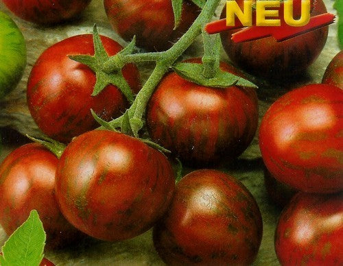 Kerstomaat 'Zebrino' F1 / 'Tiger' F1