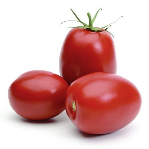 Roma Tomato 'Roma'