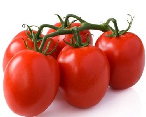 Roma Tomato 'Secret Saucer'