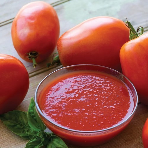 Roma Tomaat 'Supersauce' F1