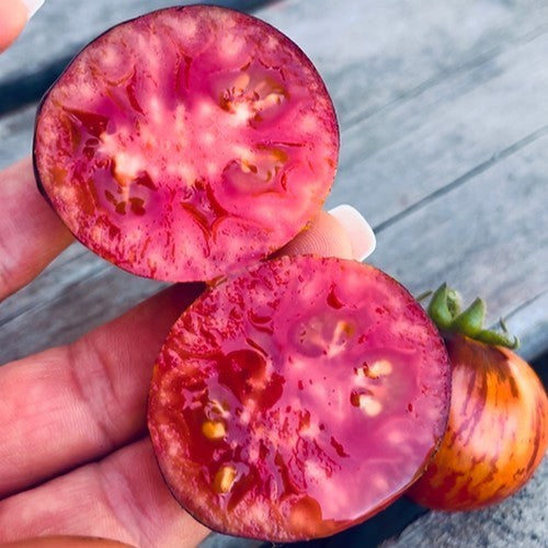 Middenmaat Tomaat 'Antho Striped Dwarf'