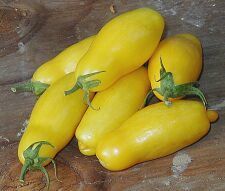 Medium-sized Tomato 'Banana Legs'