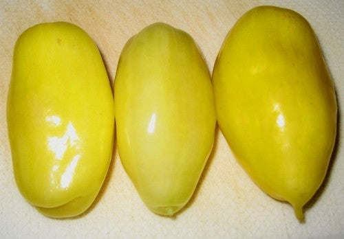 Medium-sized Tomato 'Banana Legs'
