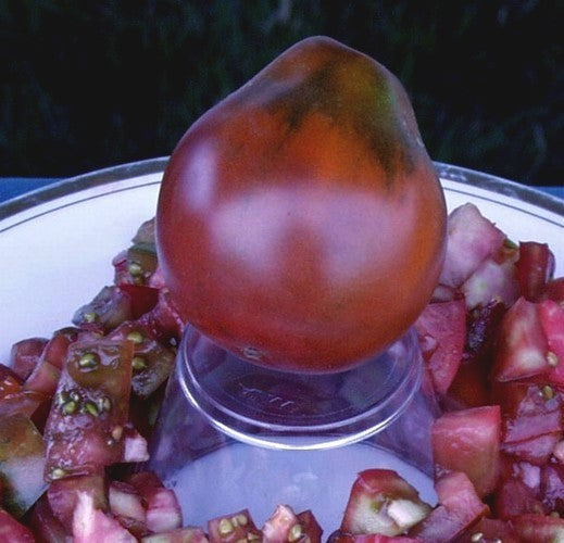 Medium-sized Tomato 'Black Pear' / '(Japanese) Black Trife'