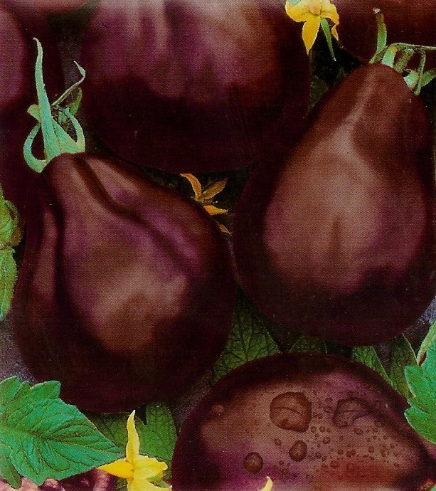Medium-sized Tomato 'Black Pear' / '(Japanese) Black Trife'