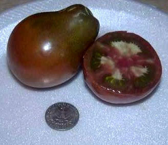 Medium-sized Tomato 'Black Pear' / '(Japanese) Black Trife'