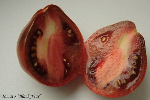 Medium-sized Tomato 'Black Pear' / '(Japanese) Black Trife'
