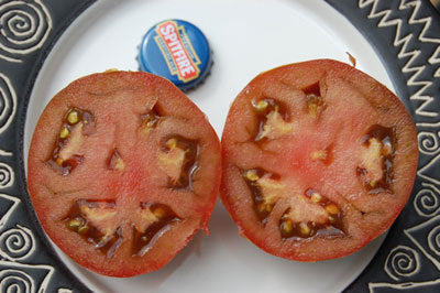 Middenmaat Tomaat 'Black Prince'