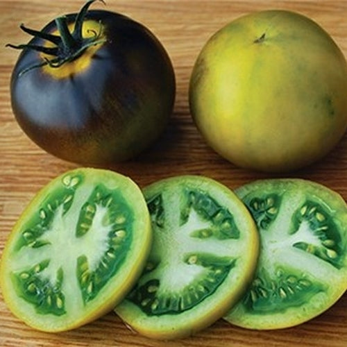 Middenmaat Tomaat 'Blue Green'