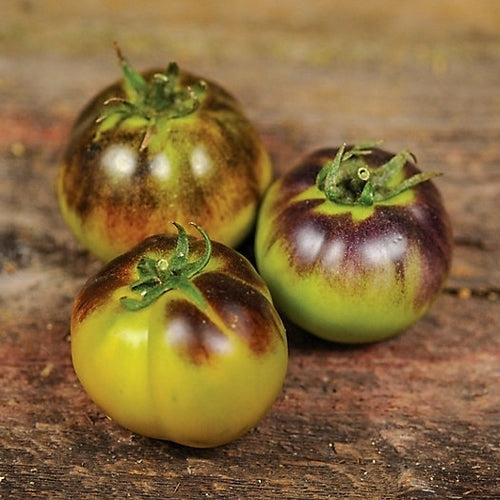 Middenmaat Tomaat 'Blue Green'