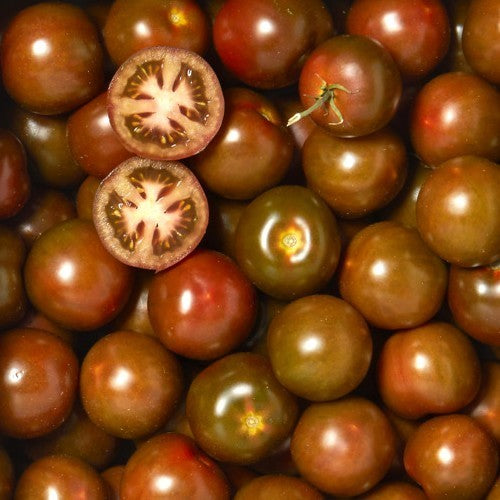 Medium-sized Tomato 'Brown Dansk Export'