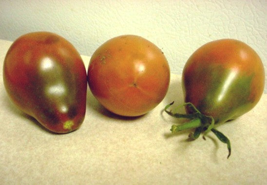Middenmaat Tomaat 'Evan'S Purple Pear''
