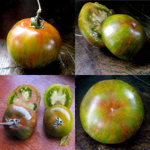 Medium-sized Tomato 'Green Lantern's Lights'