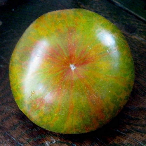 Medium-sized Tomato 'Green Lantern's Lights'