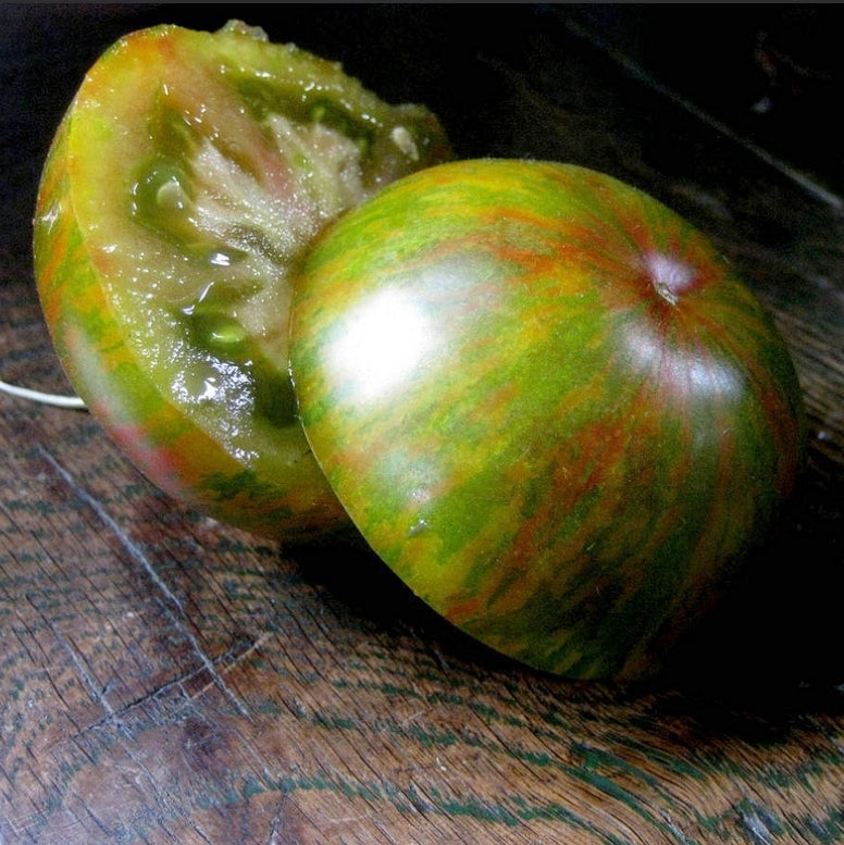Medium-sized Tomato 'Green Lantern's Lights'