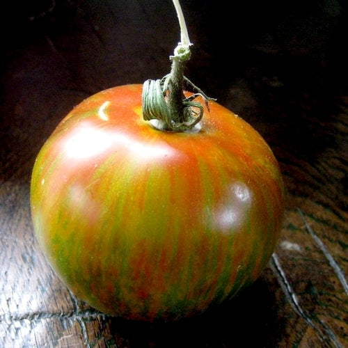 Medium-sized Tomato 'Green Lantern's Lights'