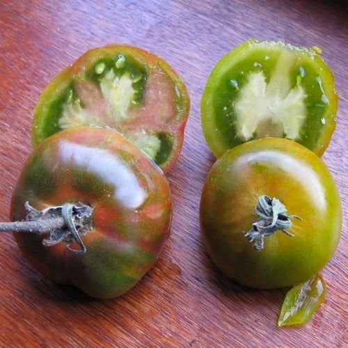 Medium-sized Tomato 'Green Lantern's Lights'