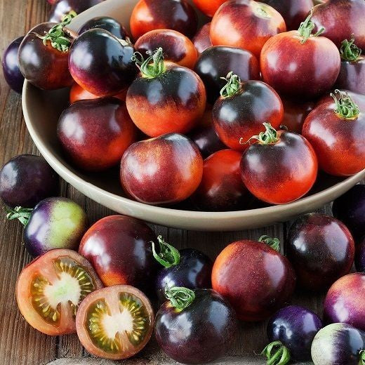 Medium Tomato 'Indigo Rose'