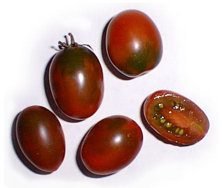Medium-sized Tomato 'Prune Noire' / 'Black Plum' / 'Black Mo'