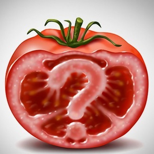 Medium-sized Tomato 'Saboyskaja Scudo'
