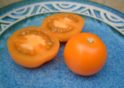 Medium-sized Tomato 'Tangella' / 'Orange Favourite'