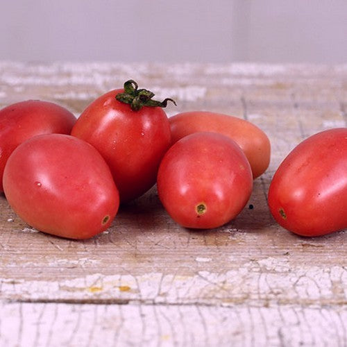 Eiertomaat 'Thai Pink Egg' / 'Pink Thai Egg'