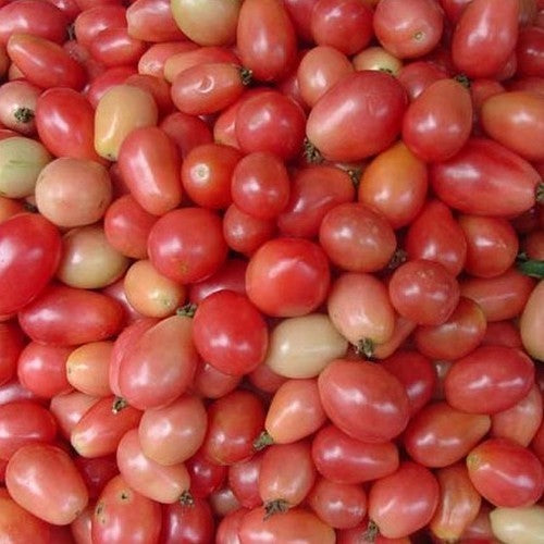 Eiertomaat 'Thai Pink Egg' / 'Pink Thai Egg'