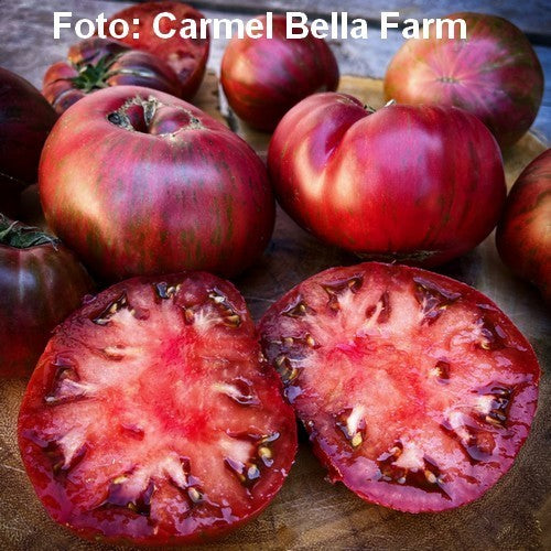 Beefsteak tomato 'Adelaide Festival'