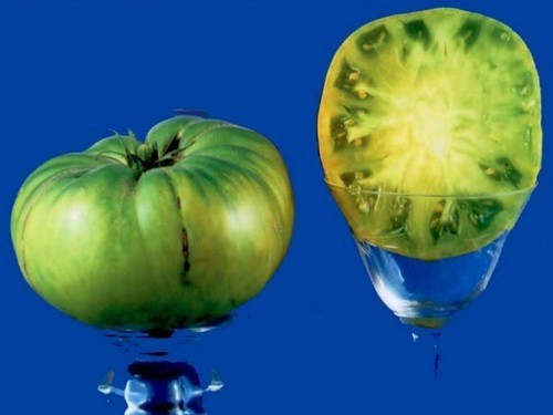 Beefsteak tomato 'Aunt Ruby's German Green'