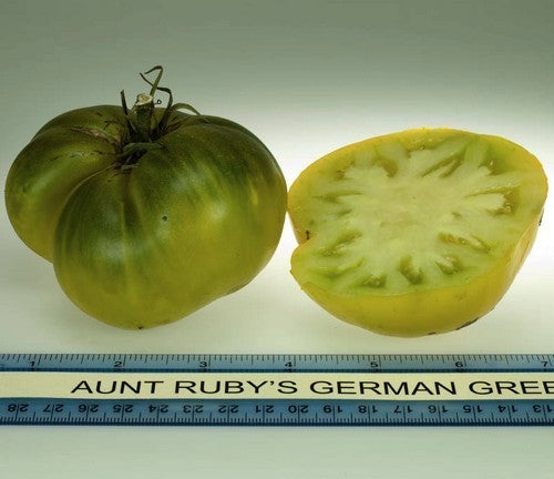 Beefsteak tomato 'Aunt Ruby's German Green'