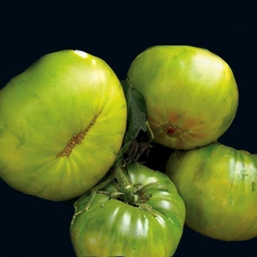 Beefsteak tomato 'Aunt Ruby's German Green'