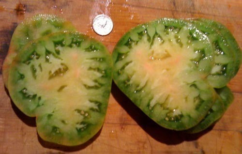Beefsteak tomato 'Aunt Ruby's German Green'