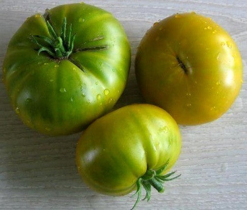 Beefsteak tomato 'Aunt Ruby's German Green'