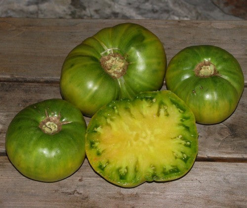 Beefsteak tomato 'Aunt Ruby's German Green'