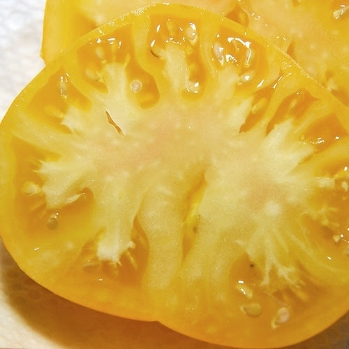 Vleestomaat 'Azoychka'