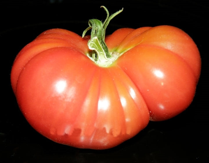 Vleestomaat 'Bali'