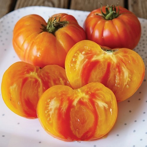 Vleestomaat 'Belly Red' / 'Red Belly'