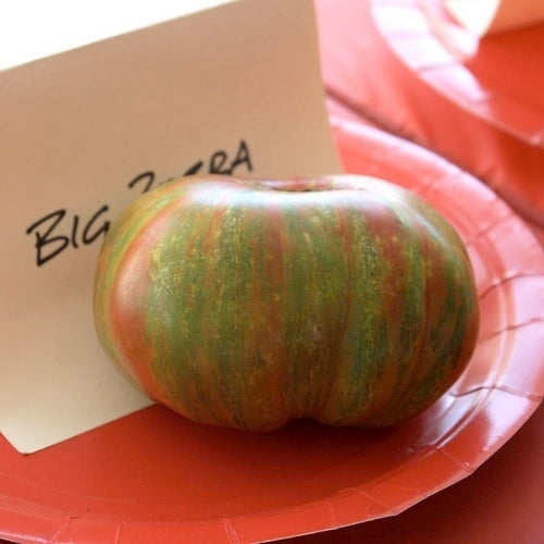 Beefsteak Tomato 'Big Zebra'